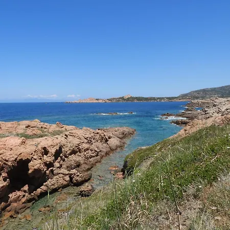 Ariel Sirenetta Mare