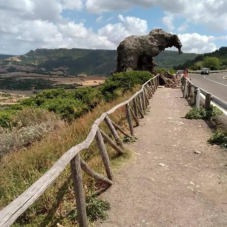 Ariel Sirenetta Mare Valledoria (Sardinia)